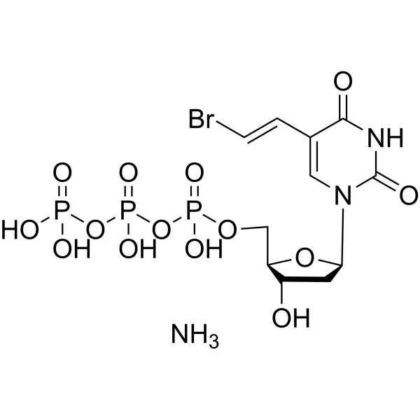 BVDU 5′-Triphosphate ammonium ((E)-5-(2-Bromovinyl)-dUTP ammonium; BVdUTP ammon